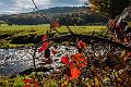 2015_10_26 (0006)